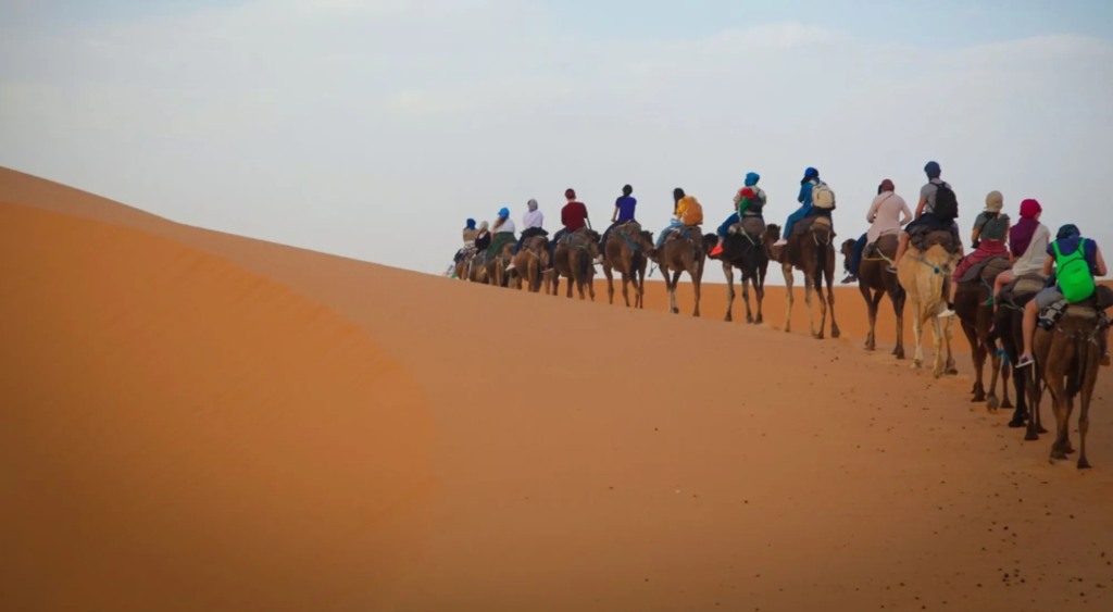 excursion Marrakech