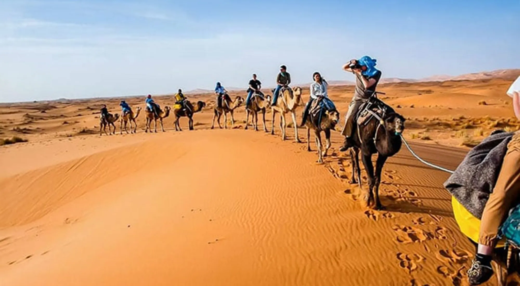 Activités sur Marrakech